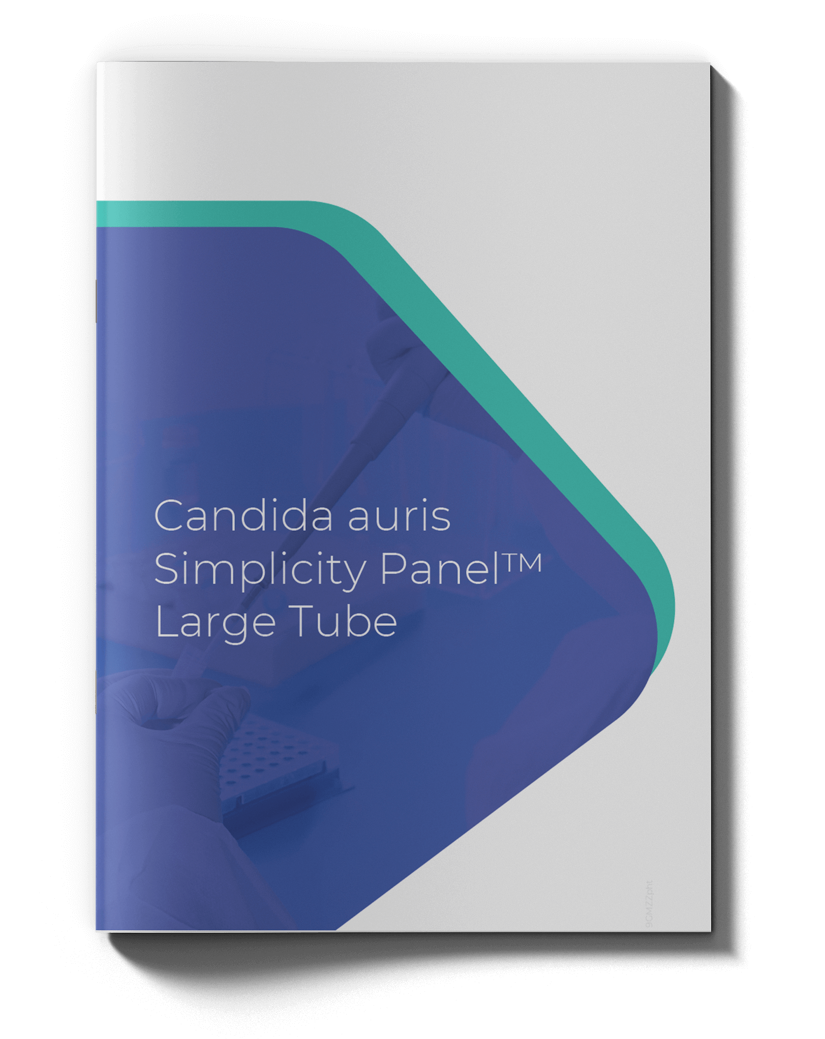 Candida auris Mockup-1