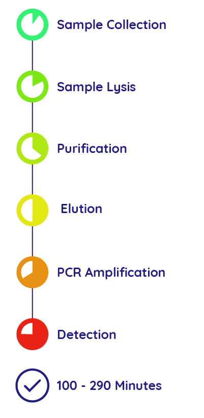 Extractionless Process 2.0-02