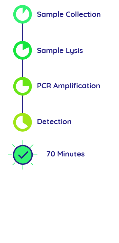 Extractionless Process 2.0-03