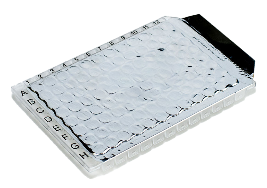 Simplicity Panel Tansparent